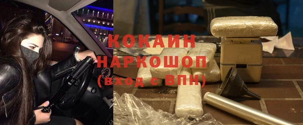 гашик Михайлов