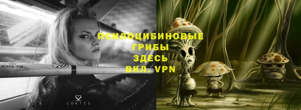 гашик Михайлов