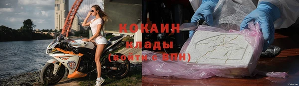 гашик Михайлов