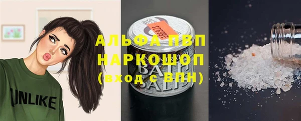 гашик Михайлов