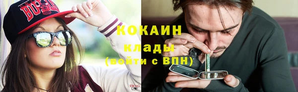 гашик Михайлов