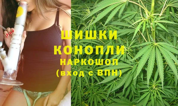гашик Михайлов