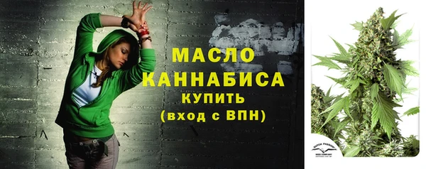 гашик Михайлов