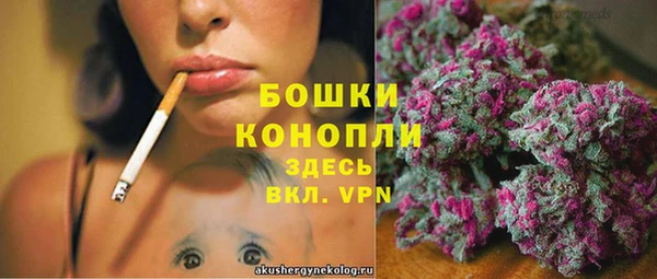 гашик Михайлов